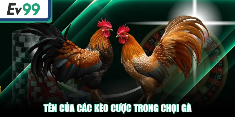 Tên của các kèo cược trong chọi gà